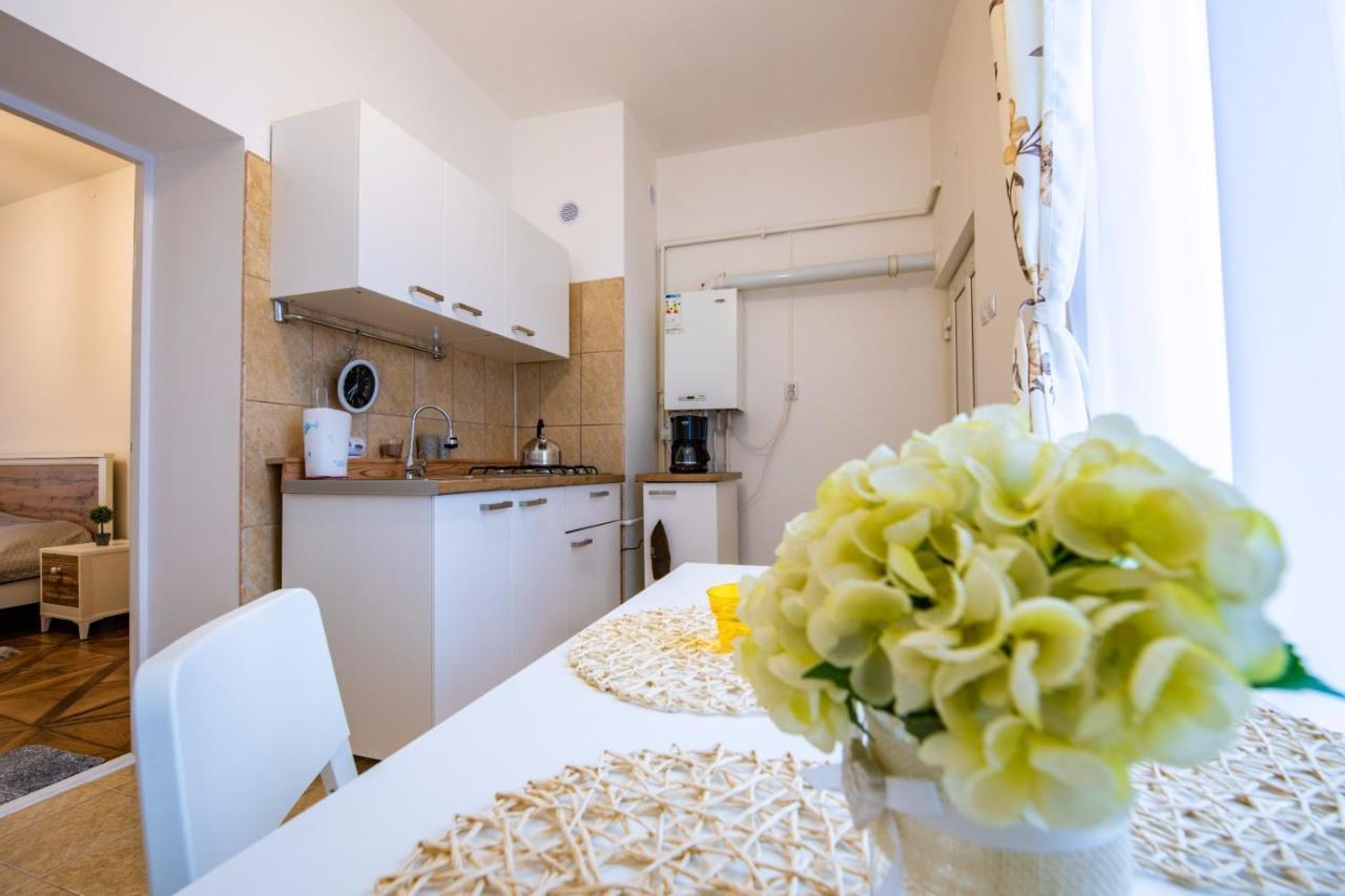 Apartment Amalia Sibiu Ngoại thất bức ảnh